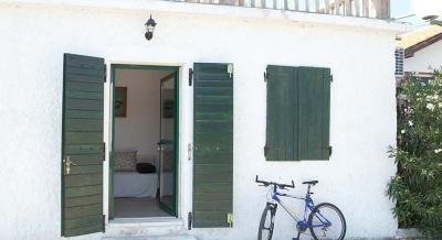 Apartment Babic, private accommodation in city Molat, Croatia